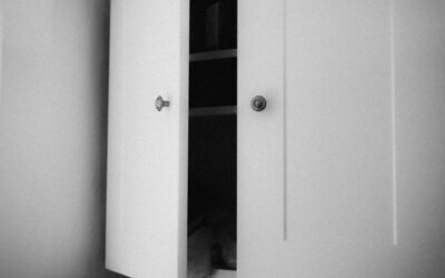 Cabinet Finishes: How to Choose the Perfect Kitchen Look